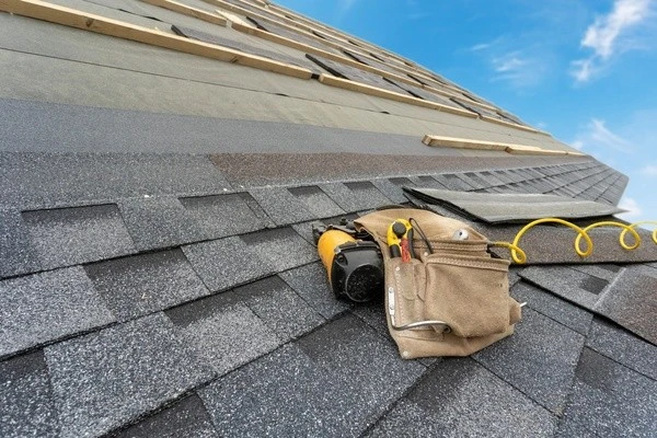 Professional roofing services